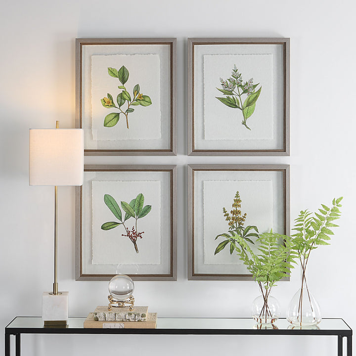 "WILDFLOWERS" GLASS FRAMED PRINTS | SET OF 4