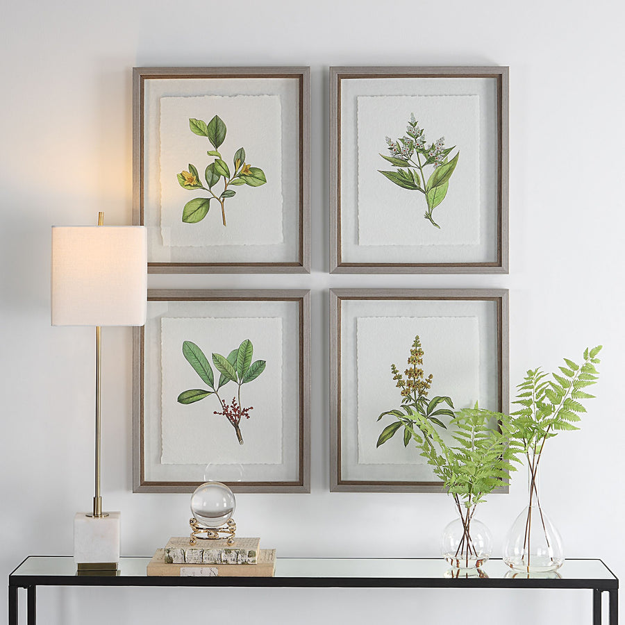 "WILDFLOWERS" GLASS FRAMED PRINTS | SET OF 4