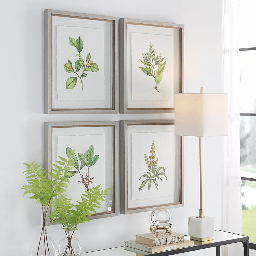 "WILDFLOWERS" GLASS FRAMED PRINTS | SET OF 4