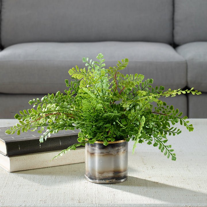 MAIDENHAIR FERN IN OXIDIZED CONTAINER