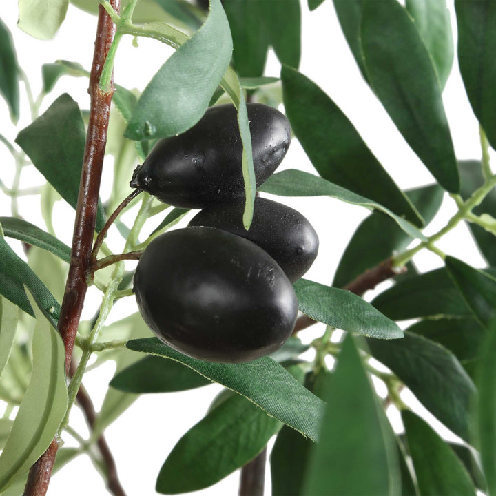 OLEA POTTED OLIVE TREE