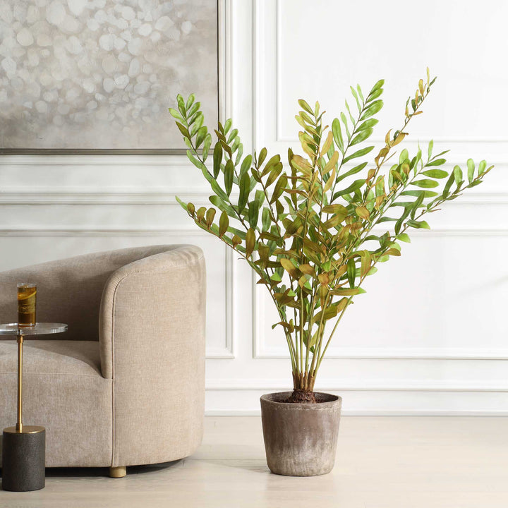 ZAMIA PALM ACCENT IN PLANTER