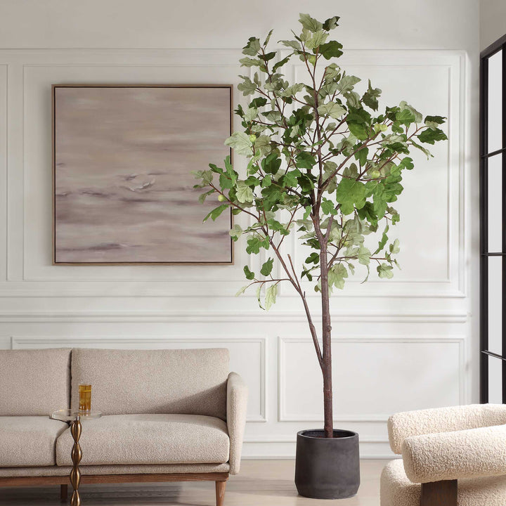 EDEN TALLE POTTED FIG TREE