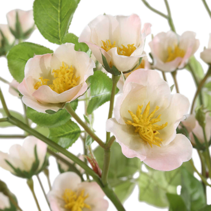 TRANQUILITY LENTEN ROSE BOUQUETS SET/2