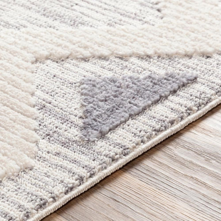 ABIRI GRAY + IVORY TEXTURED PILE RUG