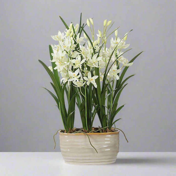 ARIANA ORCHID PLANTER