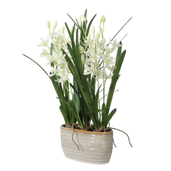 ARIANA ORCHID PLANTER