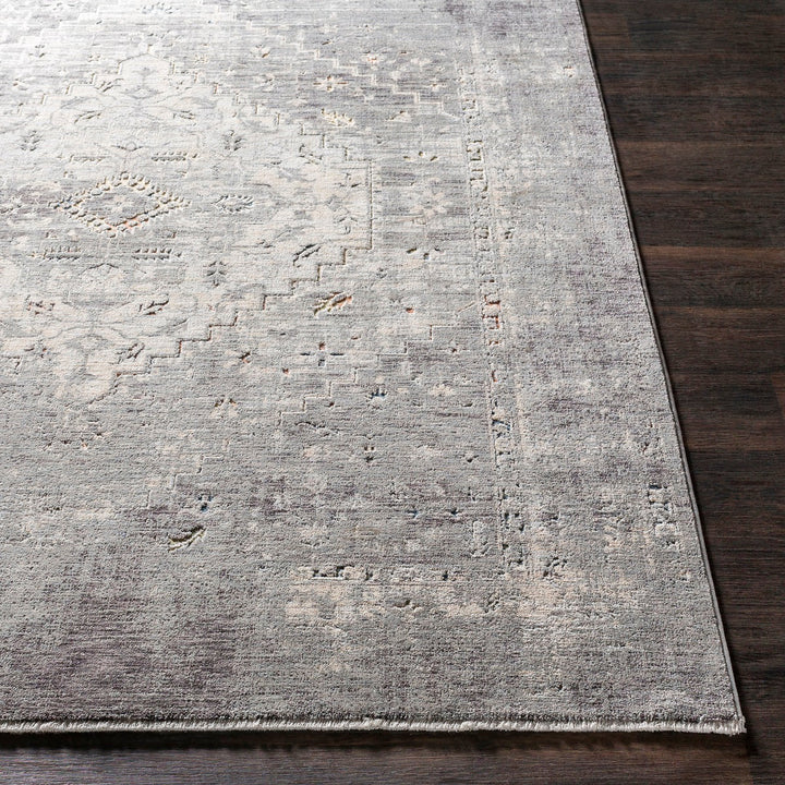 ERIS RUG: SILVER, STONE MULTI