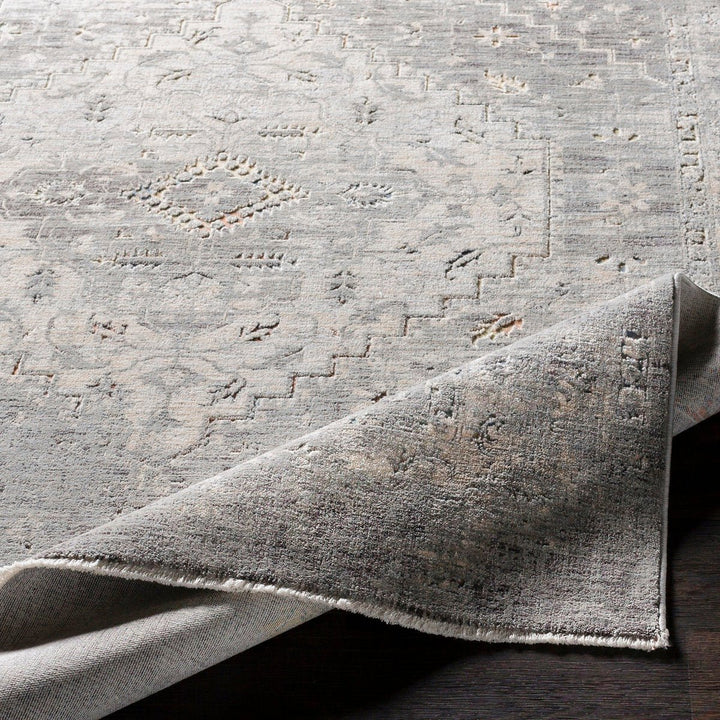 ERIS RUG: SILVER, STONE MULTI