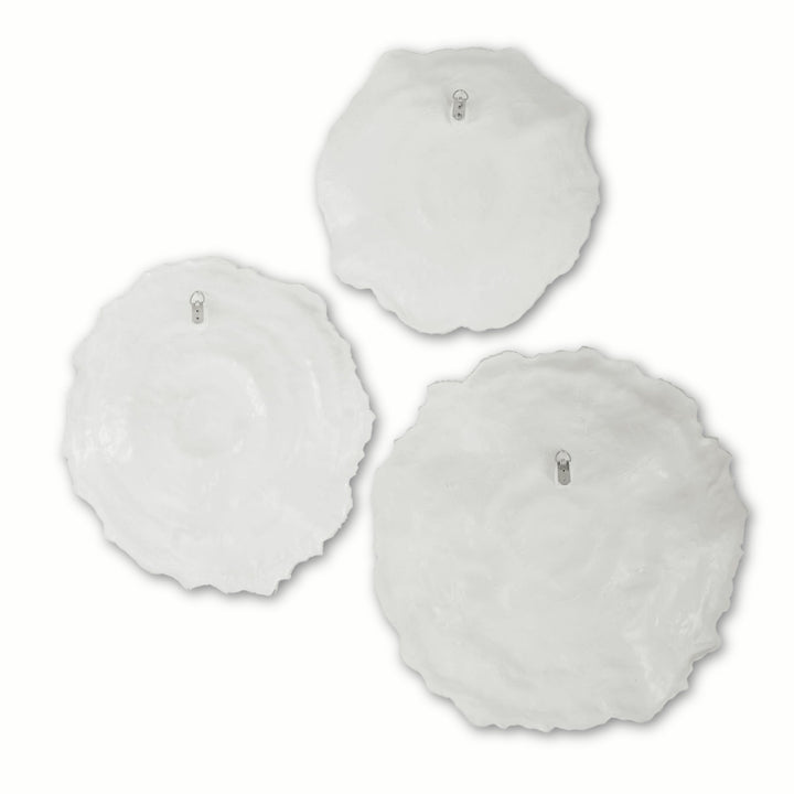 IVORY SEA CORAL WALL DECOR | SET OF 3