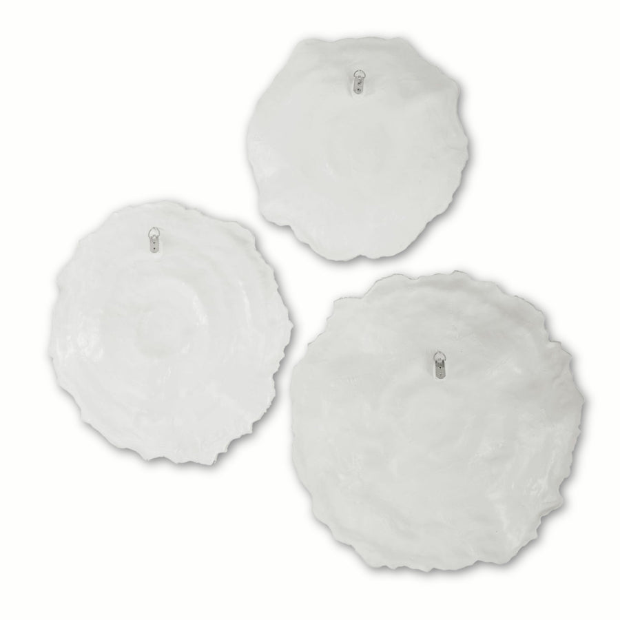 IVORY SEA CORAL WALL DECOR | SET OF 3