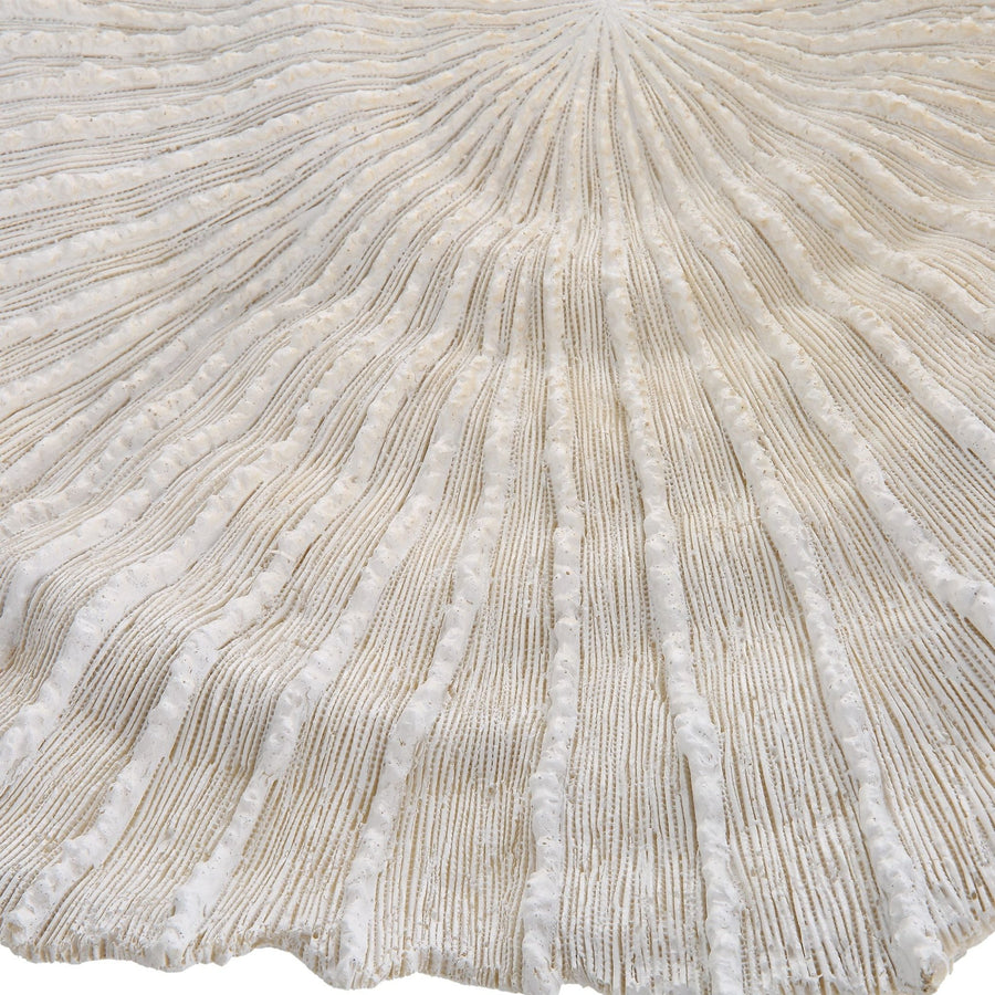 IVORY SEA CORAL WALL DECOR | SET OF 3