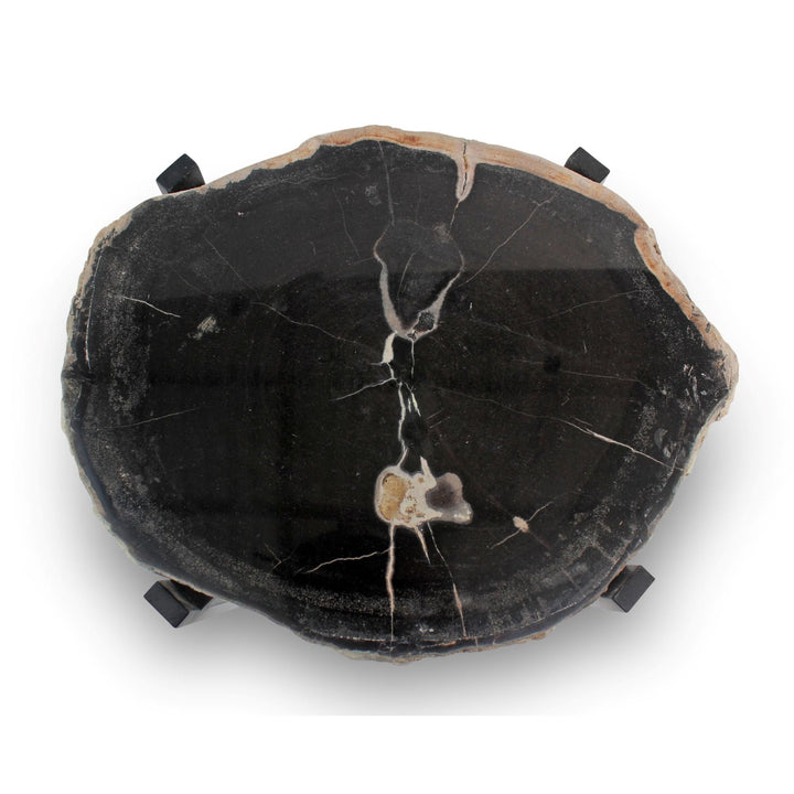 RELIQUE MILO SOLID NATURAL EDGE PETRIFIED WOOD END TABLE