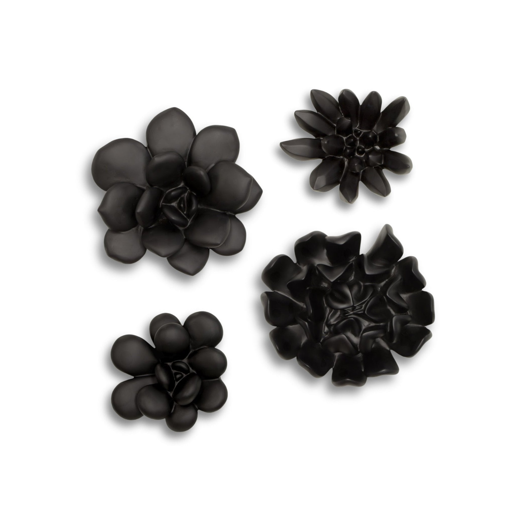 black and white succulent wall art Oviferum Succulent Wall Art, Smooth Matte Black