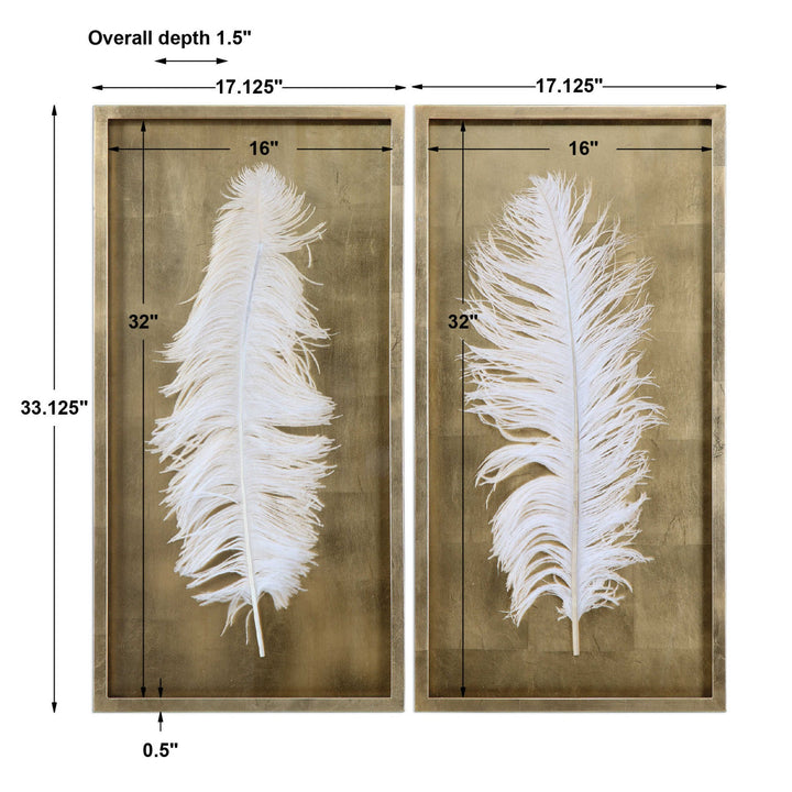 WHITE FEATHERS IN GOLD SHADOW BOXES