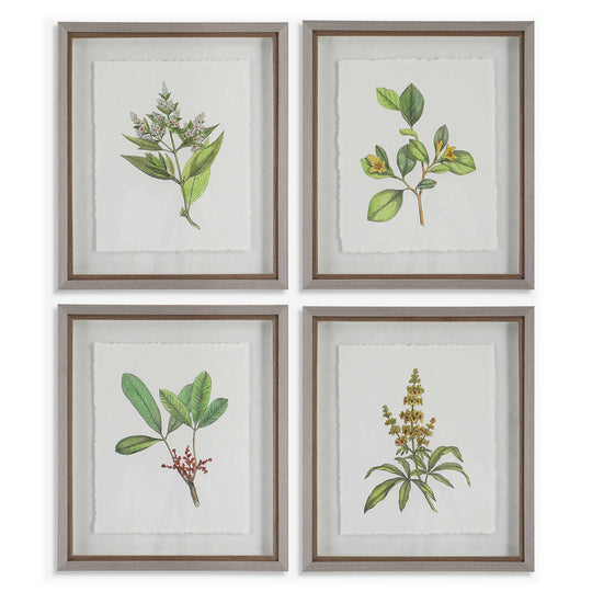 "WILDFLOWERS" GLASS FRAMED PRINTS | SET OF 4