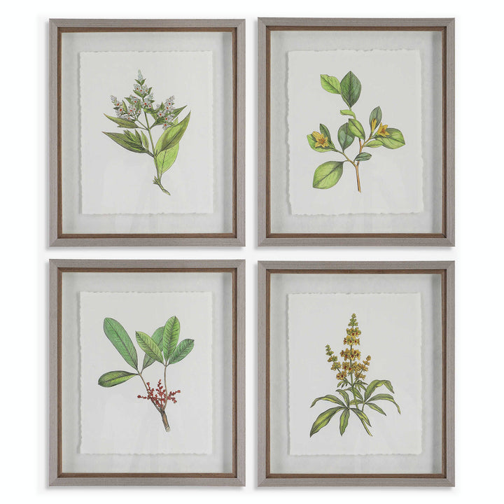 "WILDFLOWERS" GLASS FRAMED PRINTS | SET OF 4