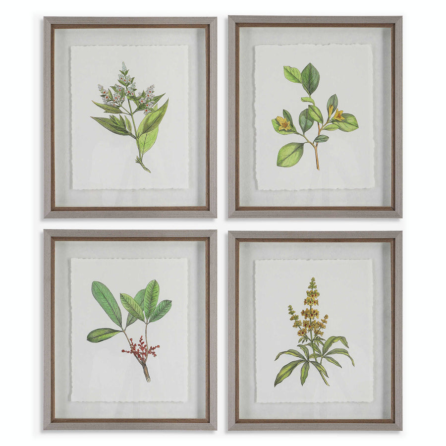 "WILDFLOWERS" GLASS FRAMED PRINTS | SET OF 4