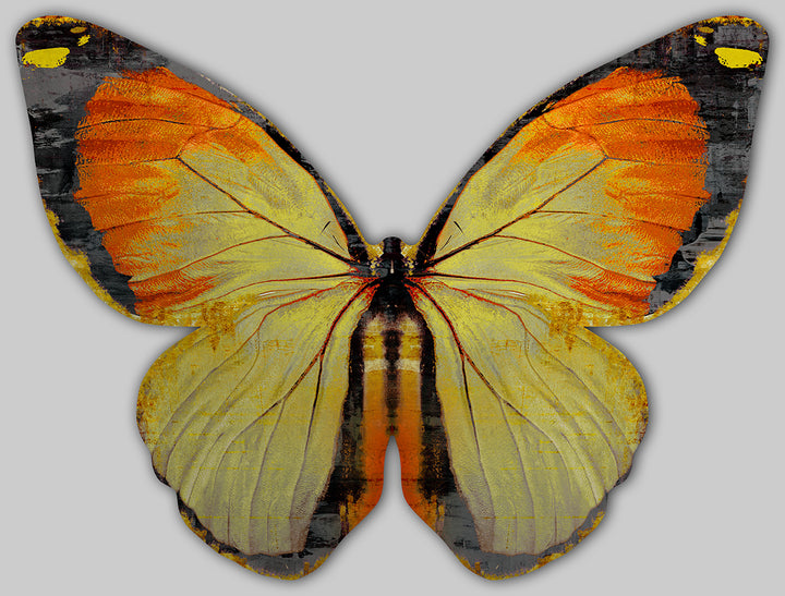 plexi orange butterfly wall art