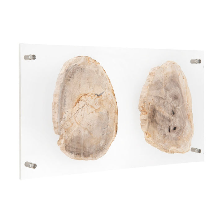 FLOATING PERTRIFIED DOUBLE SLICE WALL ART