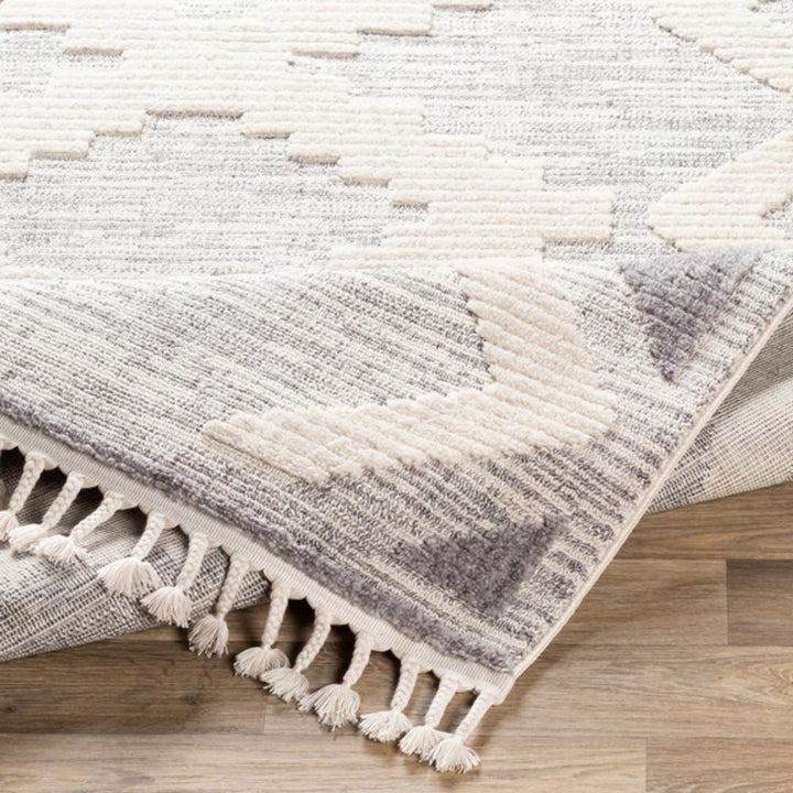 ABIRI GRAY + IVORY TEXTURED PILE RUG