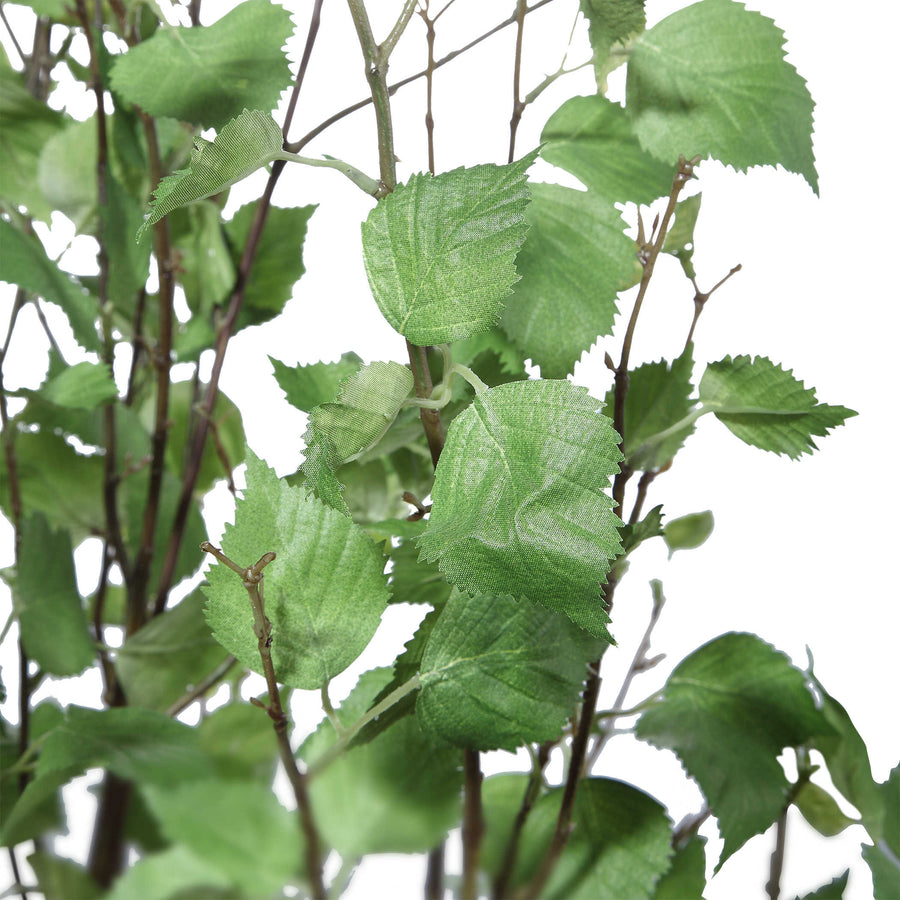 ALDI POTTED RIVER BIRCH