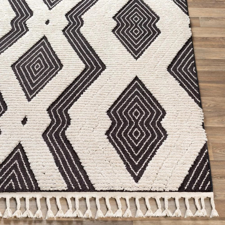 AZILA BLACK + IVORY TEXTURED PILE RUG
