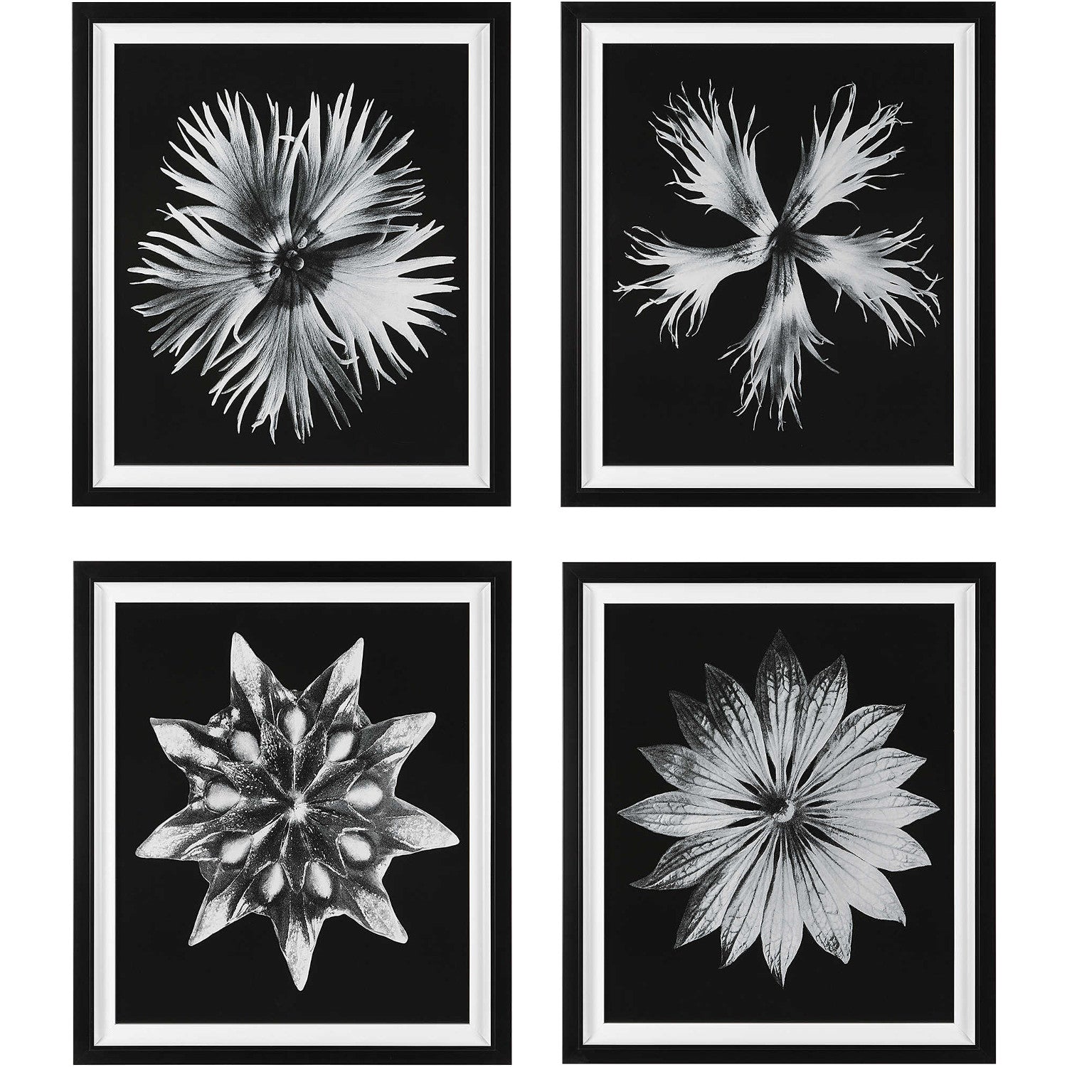 CONTEMPORARY FLORET GLASS FRAMED PRINTS