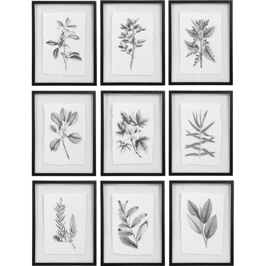 "FARMHOUSE FLORALS" BLACK+WHITE GLASS FRAMED PRINTS | SET OF 9