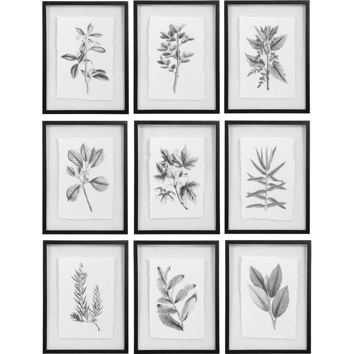 "FARMHOUSE FLORALS" BLACK+WHITE GLASS FRAMED PRINTS | SET OF 9