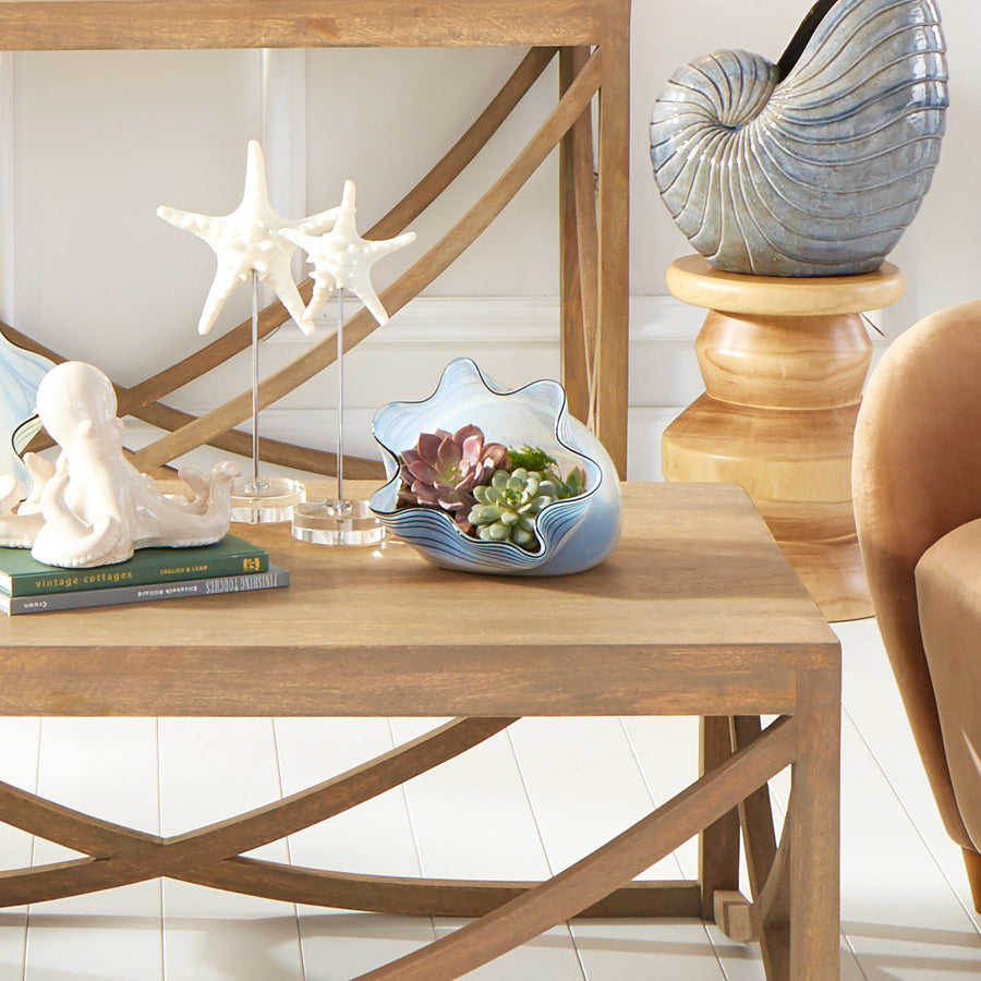ASTERINA SCULPTURE