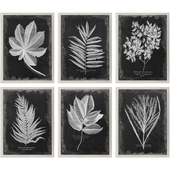 "VINTAGE FOLIAGE" GLASS FRAMED PRINTS | SET OF 6