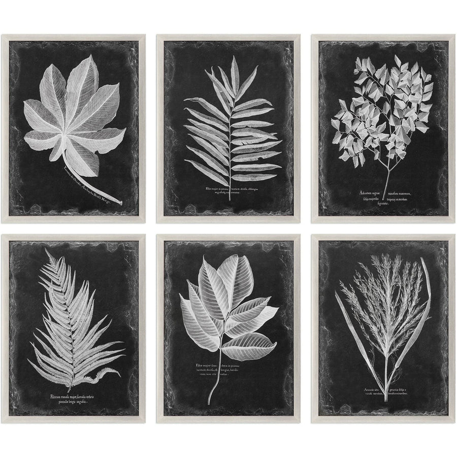"VINTAGE FOLIAGE" GLASS FRAMED PRINTS | SET OF 6