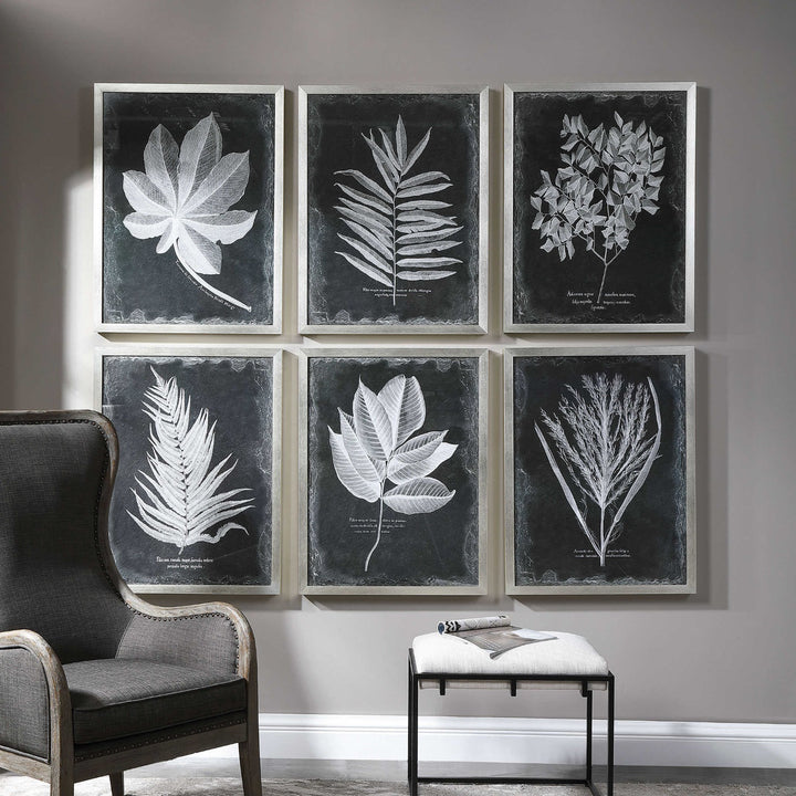 "VINTAGE FOLIAGE" GLASS FRAMED PRINTS | SET OF 6