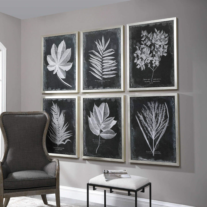 "VINTAGE FOLIAGE" GLASS FRAMED PRINTS | SET OF 6
