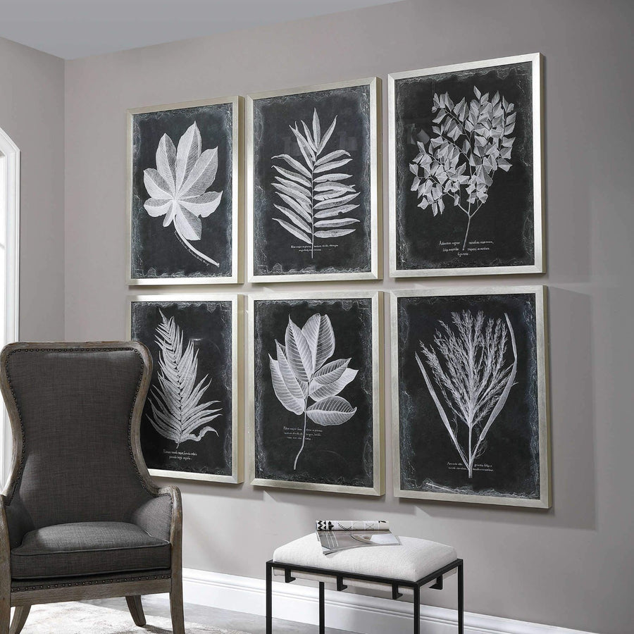 "VINTAGE FOLIAGE" GLASS FRAMED PRINTS | SET OF 6
