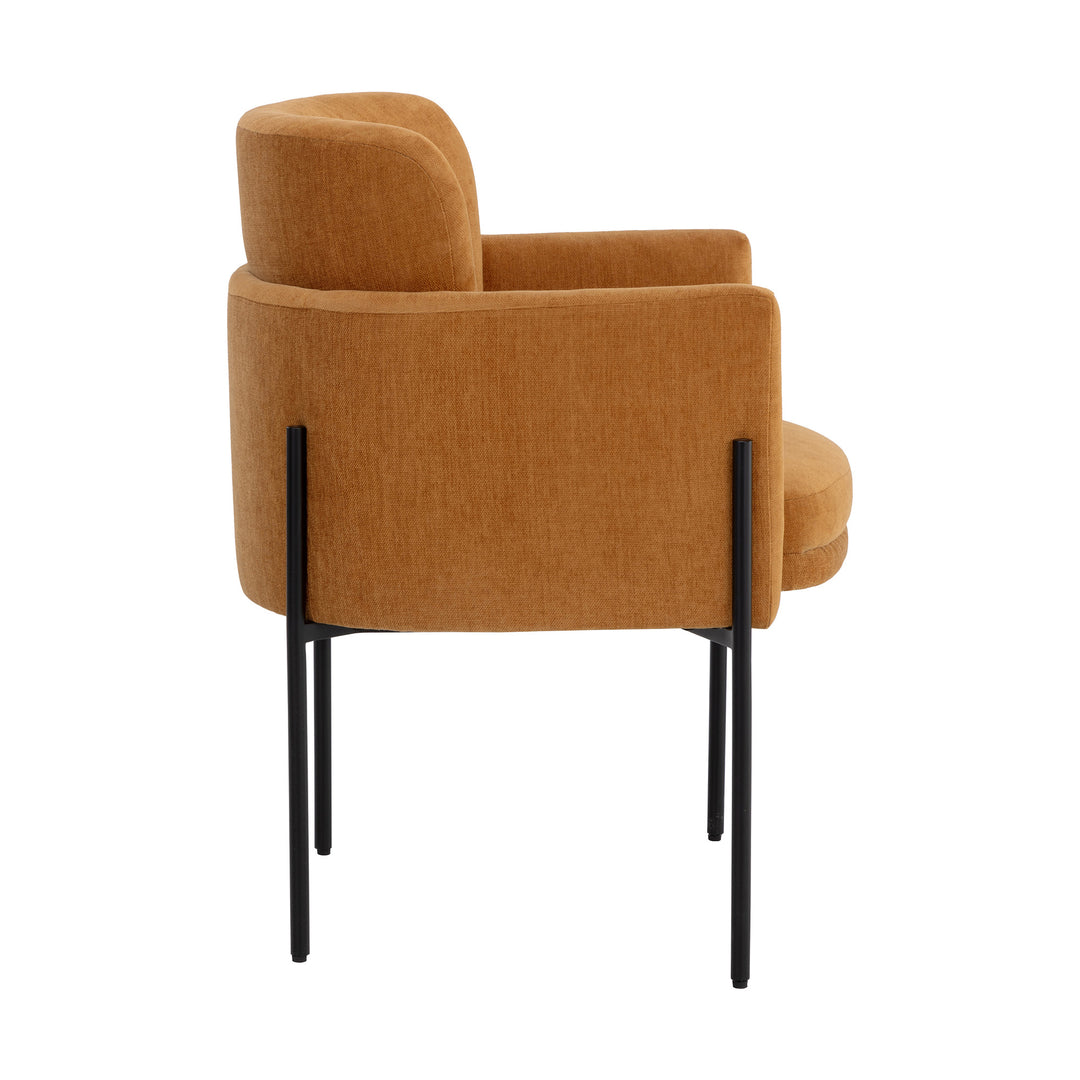 RICHIE DANNY AMBER BLACK DINING ARMCHAIR - Side View