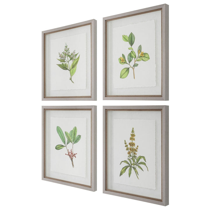 "WILDFLOWERS" GLASS FRAMED PRINTS | SET OF 4