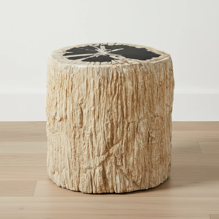 ARCO PETRIFIED WOOD TOP ACCENT TABLE