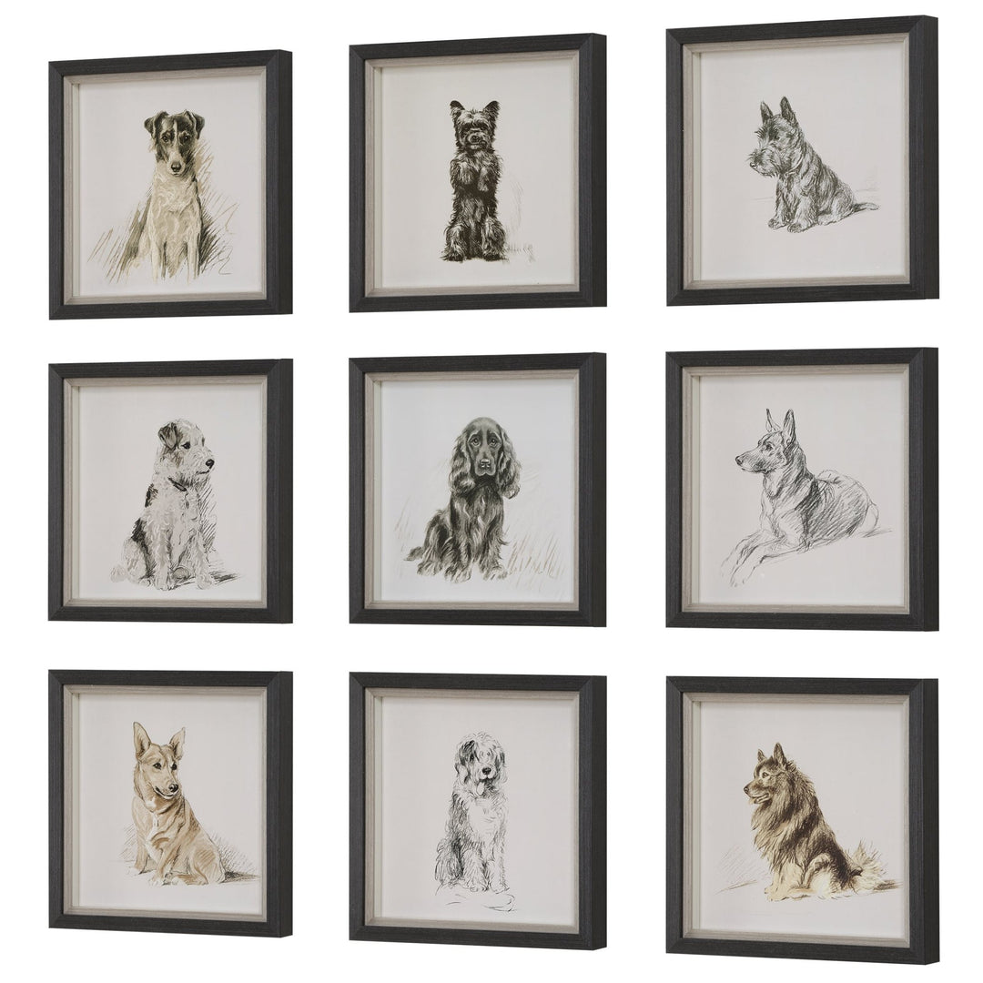 "LOYAL COMPANION" GLASS FRAMED PRINTS | SET OF 9