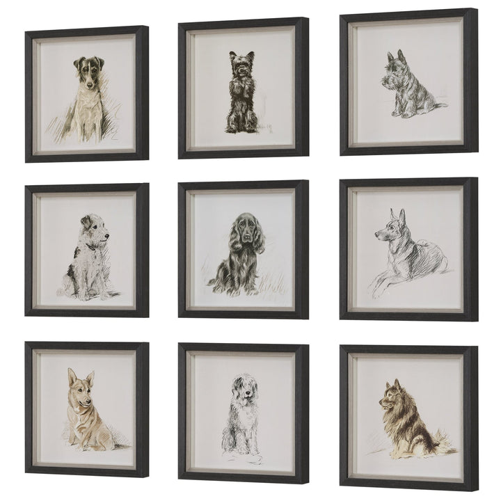 "LOYAL COMPANION" GLASS FRAMED PRINTS | SET OF 9