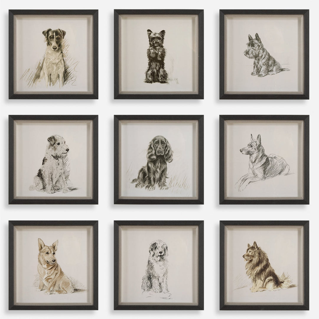 "LOYAL COMPANION" GLASS FRAMED PRINTS | SET OF 9