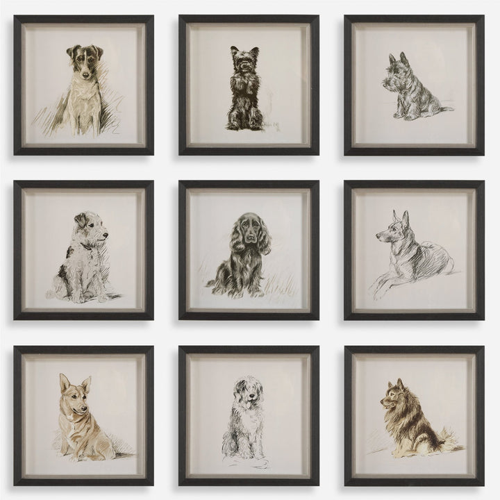 "LOYAL COMPANION" GLASS FRAMED PRINTS | SET OF 9