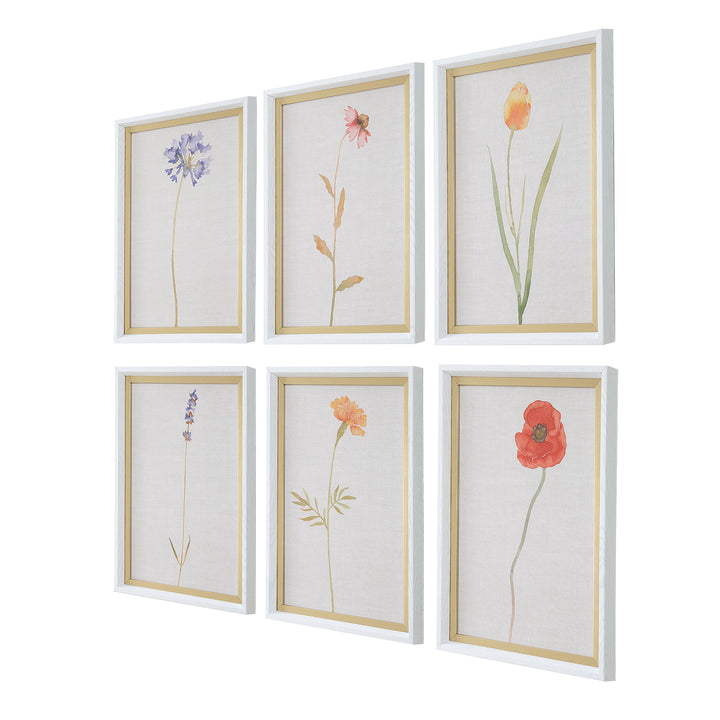 "WILD FLOURISH" GLASS FRAMED PRINTS | SETOF 6