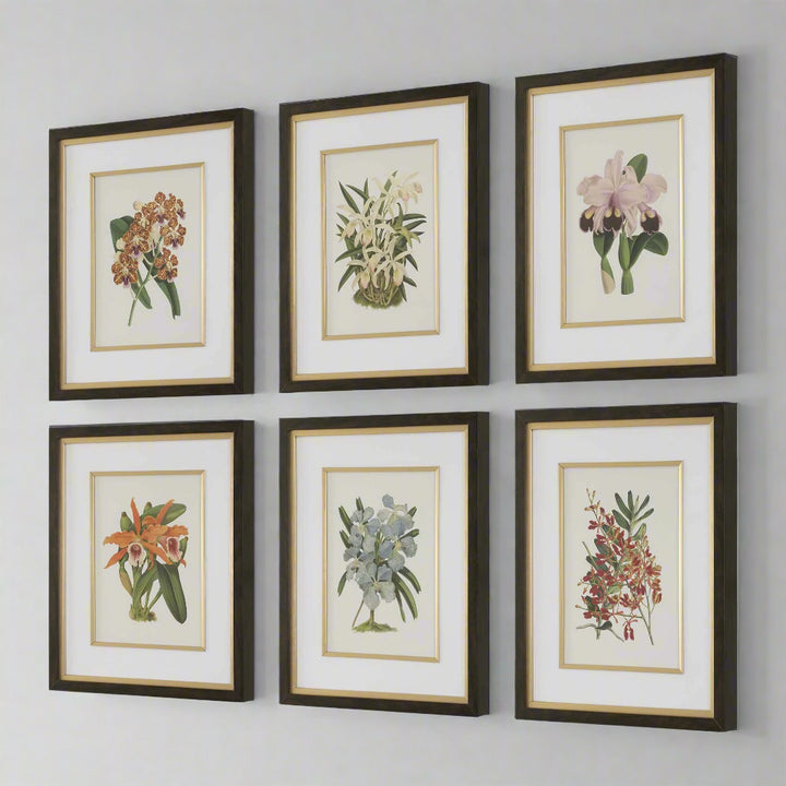 "ORCHID BOTANICAL" GLASS FRAMED GALLERY SET