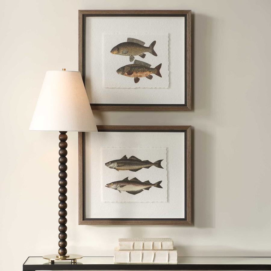 "THE CATCH" GLASS FRAMED FISH PRINTS SET