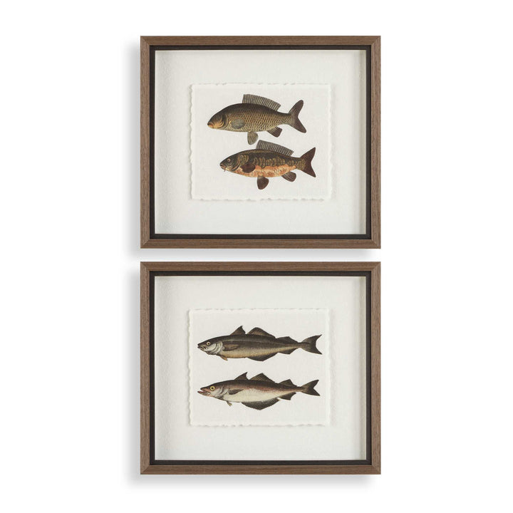 "THE CATCH" GLASS FRAMED FISH PRINTS SET