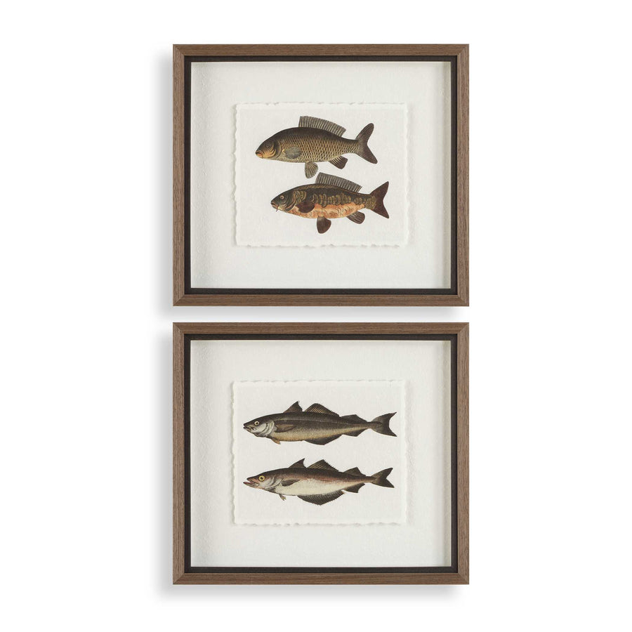 "THE CATCH" GLASS FRAMED FISH PRINTS SET