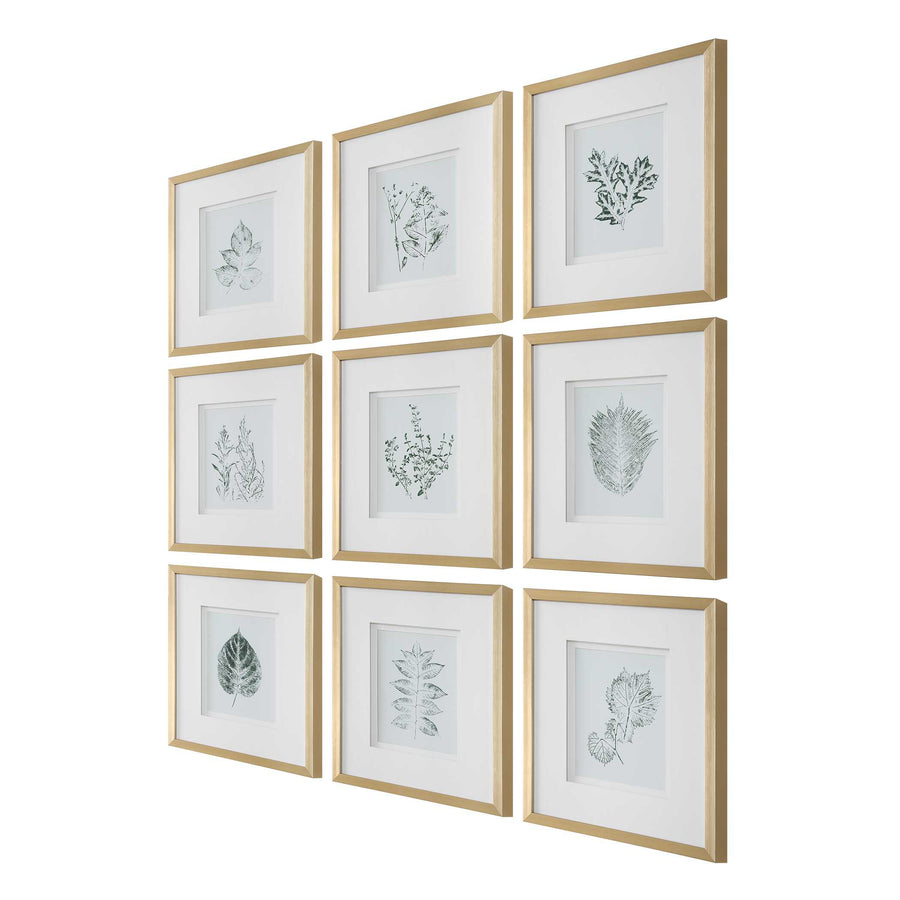 "NATURE'S SCRIPT" GLASS FRAMED BOTANICAL GALLERY SET