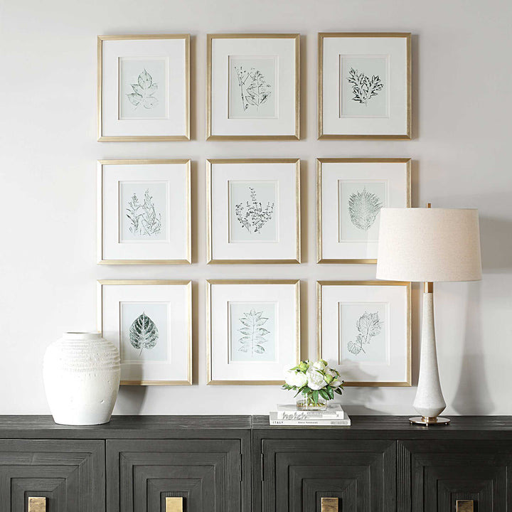 "NATURE'S SCRIPT" GLASS FRAMED BOTANICAL GALLERY SET